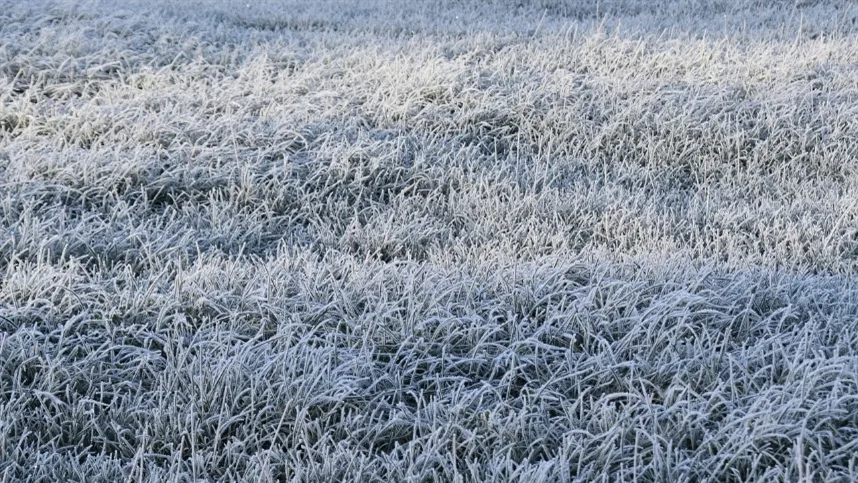 Temperaturas de inverno com previsão de geadas: CONFIRA ONDE