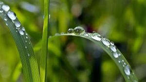 Chuva volta ao Sul e pode superar 150 mm