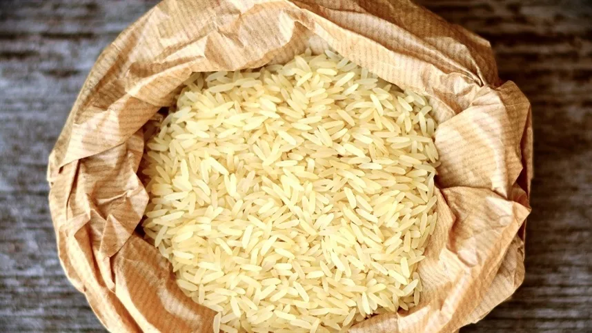 Arroz: veja como identificar o momento de controlar cupins