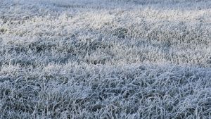 Massa polar pode levar temperaturas abaixo de 0°C