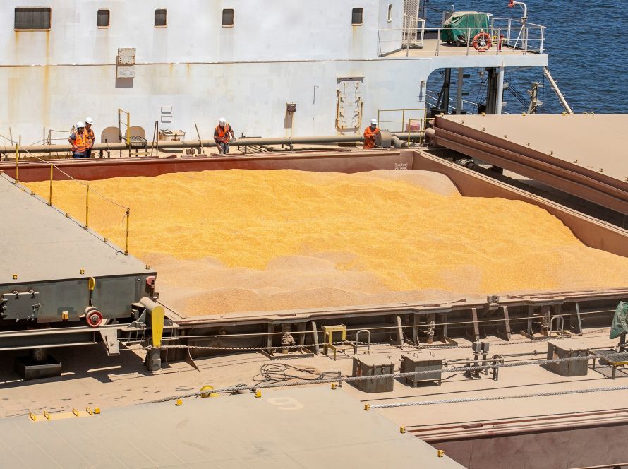 Exportações de milho de MS têm alta de 149,6 mil toneladas em outubro de 2025 frente ao mesmo mês de 2024