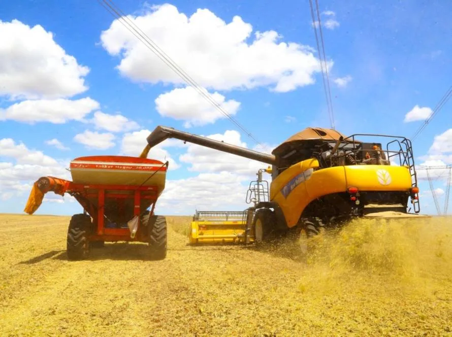 Agricultores já colheram 90% da soja no Paraná e safra deve crescer 14%