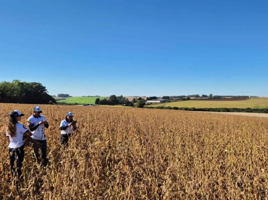 Agroconsult confirma projeção de 172,1 milhões de toneladas para nova safra de soja