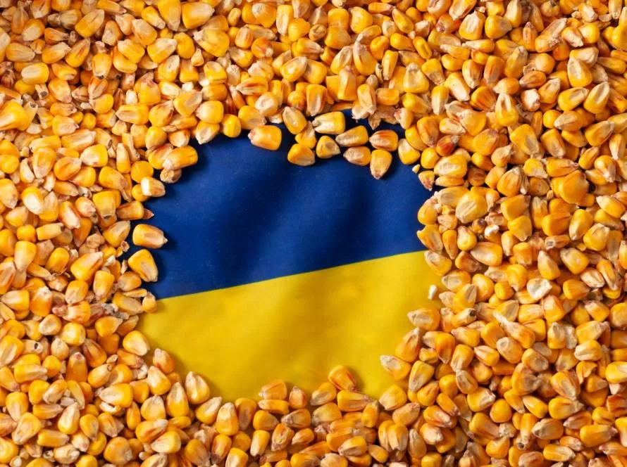 Comerciantes de grãos pedem à Ucrânia que suspenda mudanças no mecanismo de preços, dizem que exportações estão em risco