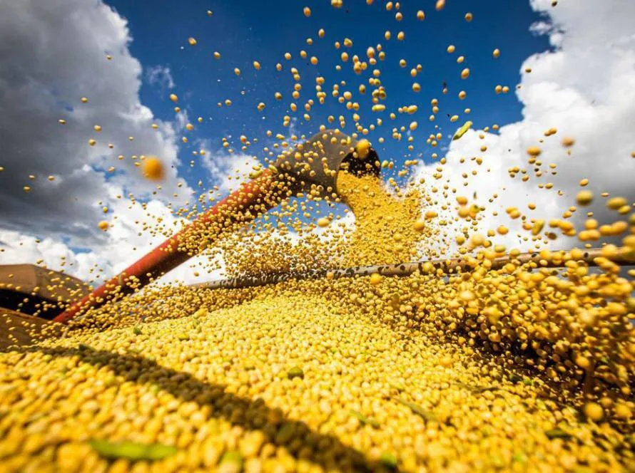 Demanda externa pela soja impulsiona o ritmo de negócios no Brasil