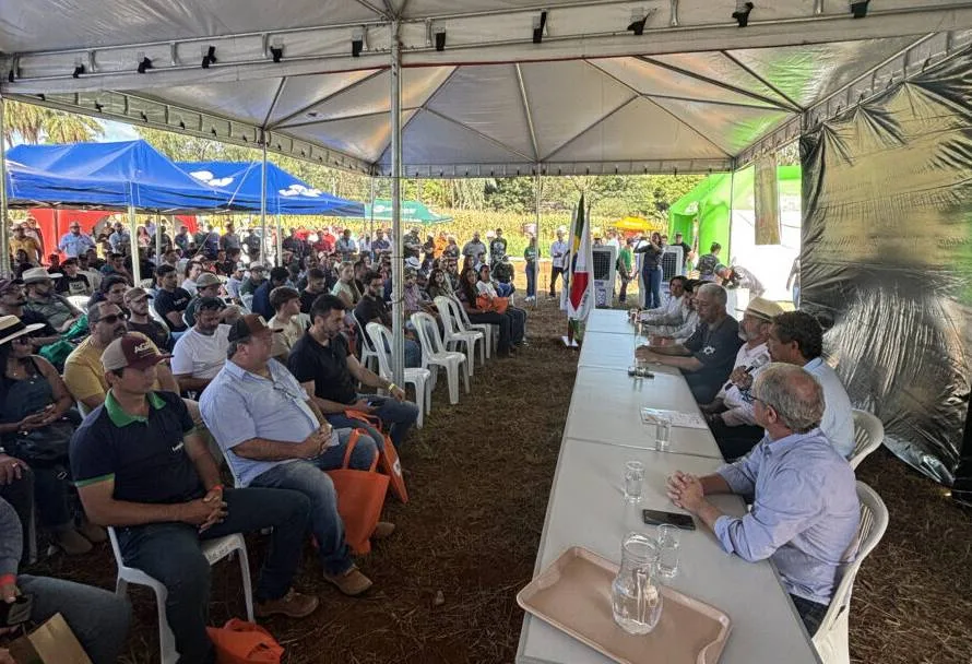 Dia de Campo revela tecnologias inovadoras para as culturas do milho e pastagens