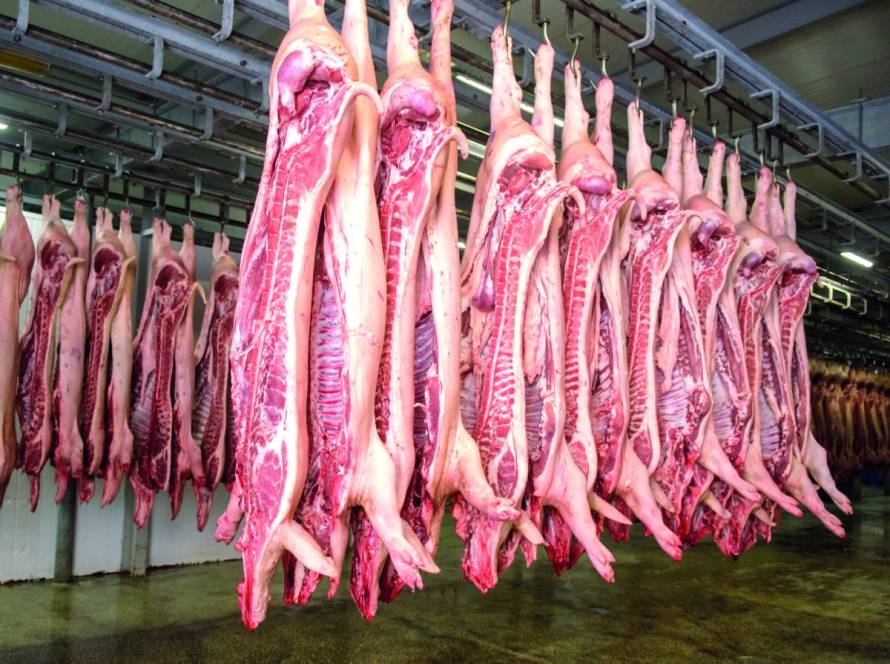 Exportações brasileiras de carne suína mantêm ritmo positivo, apesar da queda nas vendas para China