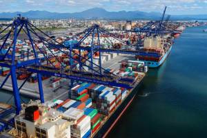 Exportações brasileiras de lácteos crescem 26,92% em fevereiro, mas seguem abaixo de 2024