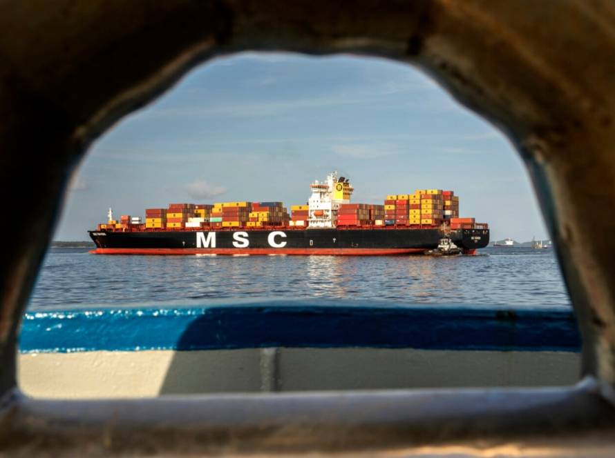 Exportações brasileiras de ovos processados atingiram recorde em fevereiro