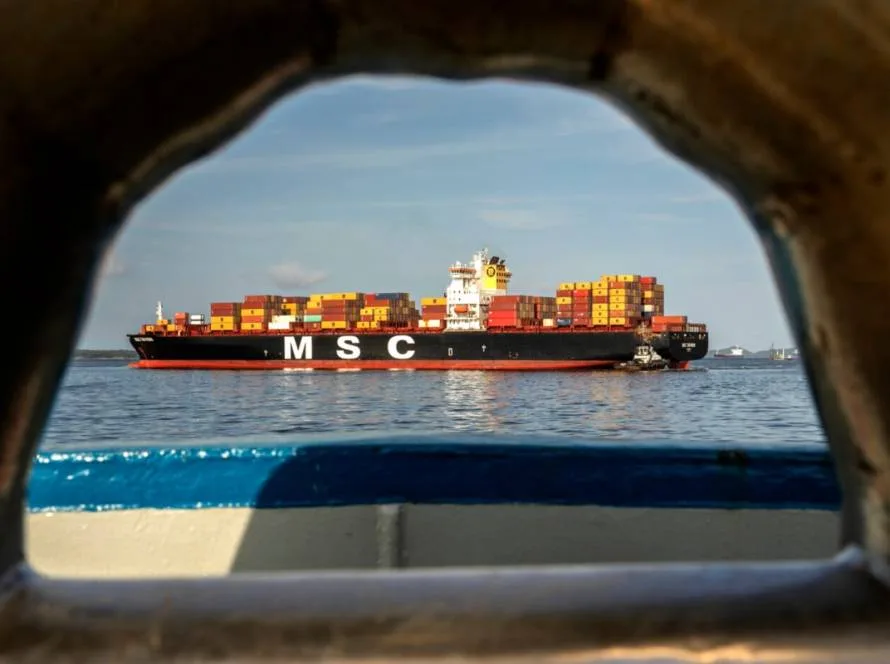 Exportações brasileiras de ovos processados atingiram recorde em fevereiro