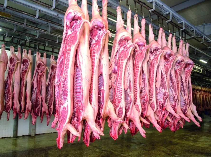 Exportações de carne suína batem recorde para fevereiro e crescem 8,1%