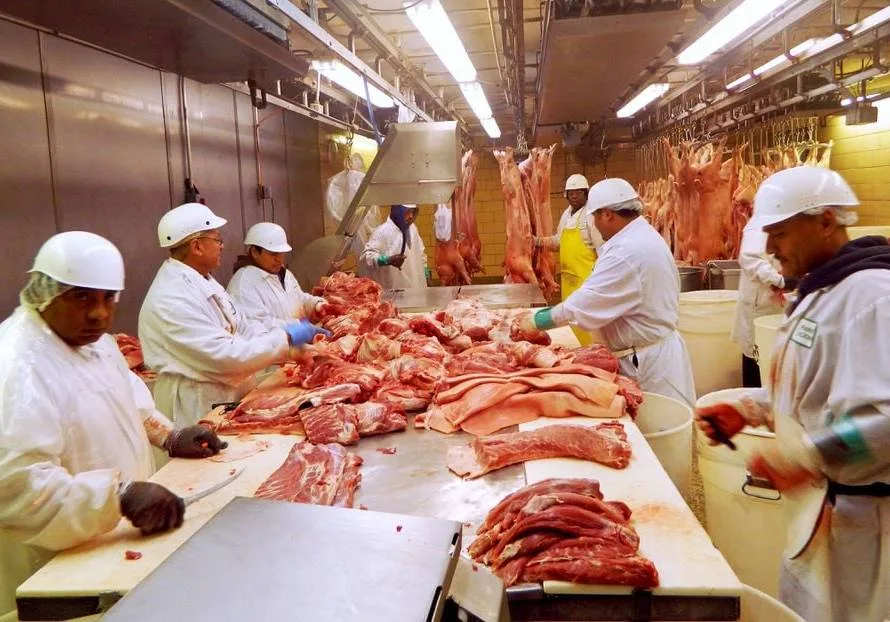 Faturamento com exportações de carne suína até a 2ª semaqna de março tem destaque