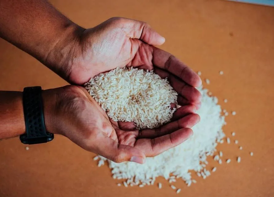 Federarroz confirma exportação de saco de arroz a R$ 82 no Porto de Rio Grande