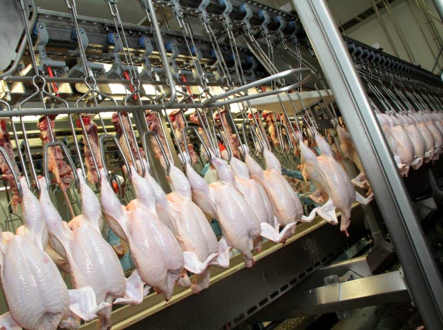 Frango: volume embarcado e receita até este momento de março chegam quase a 60% das exportações de março/24