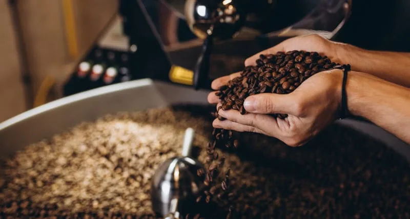 Média de exportação de café não torrado teve queda de 20% em fevereiro de 2025