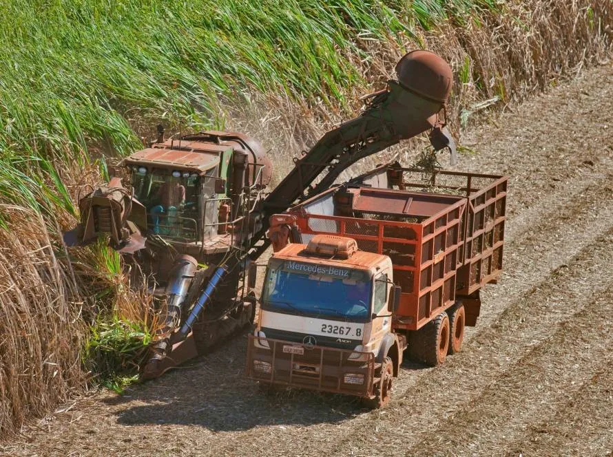 Mercado do açúcar inicia semana em queda e desaceleração nas exportações
