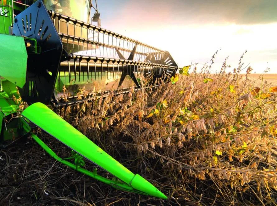 Produção de grãos na safra 2024/25 deve chegar a 328,3 milhões de toneladas