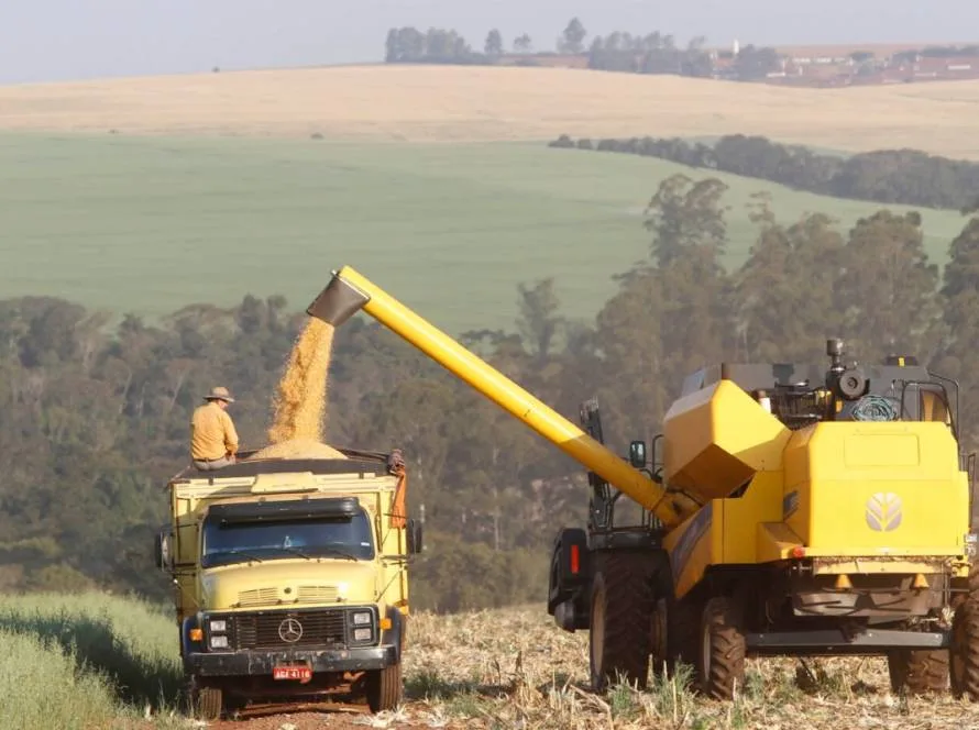 Safra de milho do Paraná deve ter a maior produtividade média da história em 2025