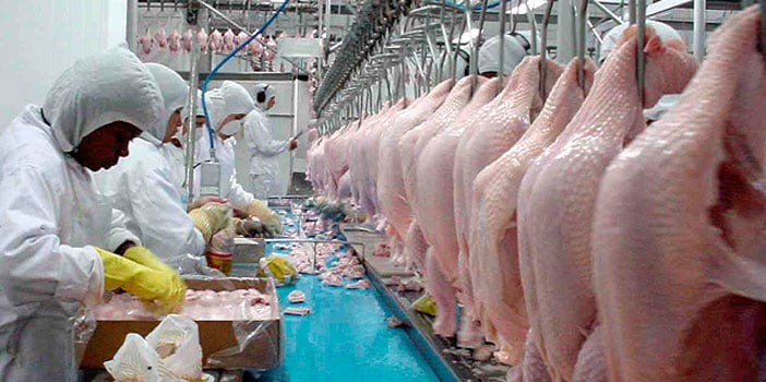 Exportações de carne de frango avançam 13,8% em março