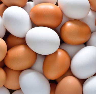 Exportações de ovos alcançam 3,7 mil toneladas em março