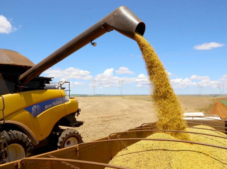Abiove projeta alta nas exportações de soja em grão e mantém expectativa de novo recorde em 2025