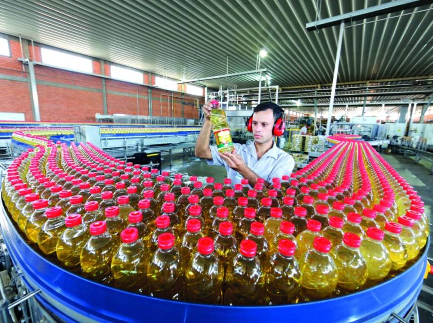 Agroindústria avança, mas quebra de safra compromete resultado da cadeia produtiva em 2024