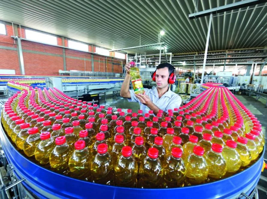 Agroindústria avança, mas quebra de safra compromete resultado da cadeia produtiva em 2024