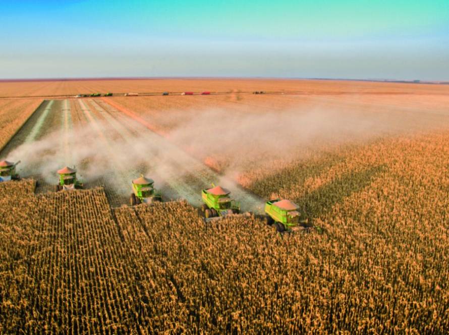 Após primeiras colheitas, Conab confirma estimativa de safra recorde