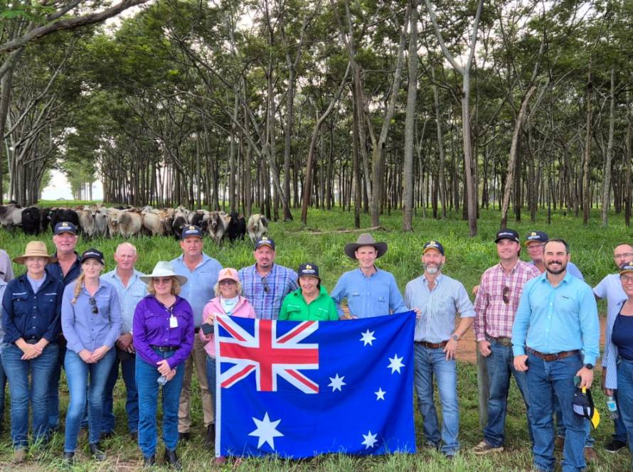 Comitiva australiana visita fazendas no norte de MT e se impressiona com tecnologia e gestão da pecuária