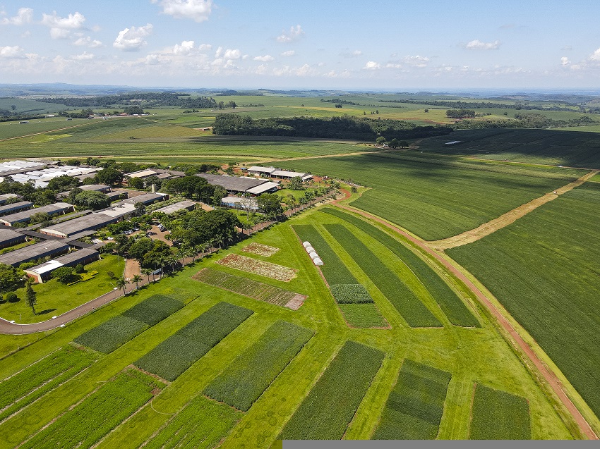 Embrapa Soja promove workshop para celebrar seus 50 anos