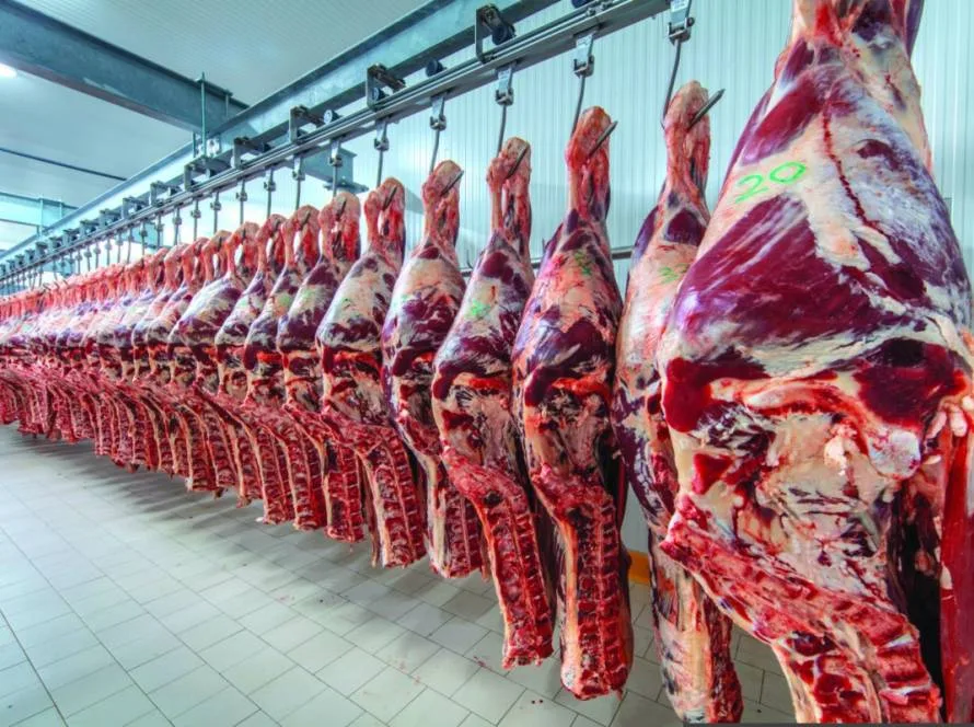 Exportação de carne bovina cresce 22% na TCP