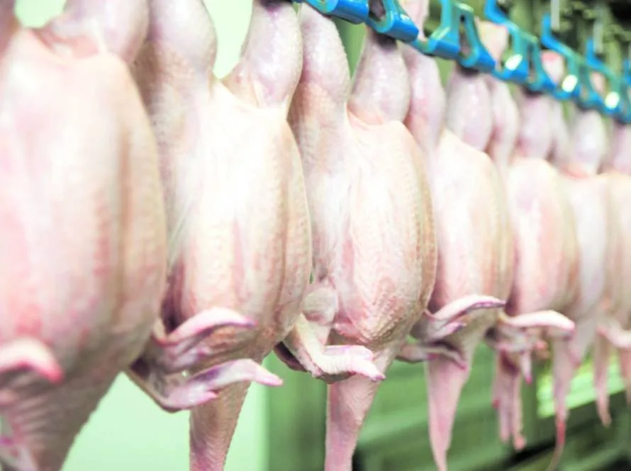 Exportações de carne de frango avançam 13,8% em março