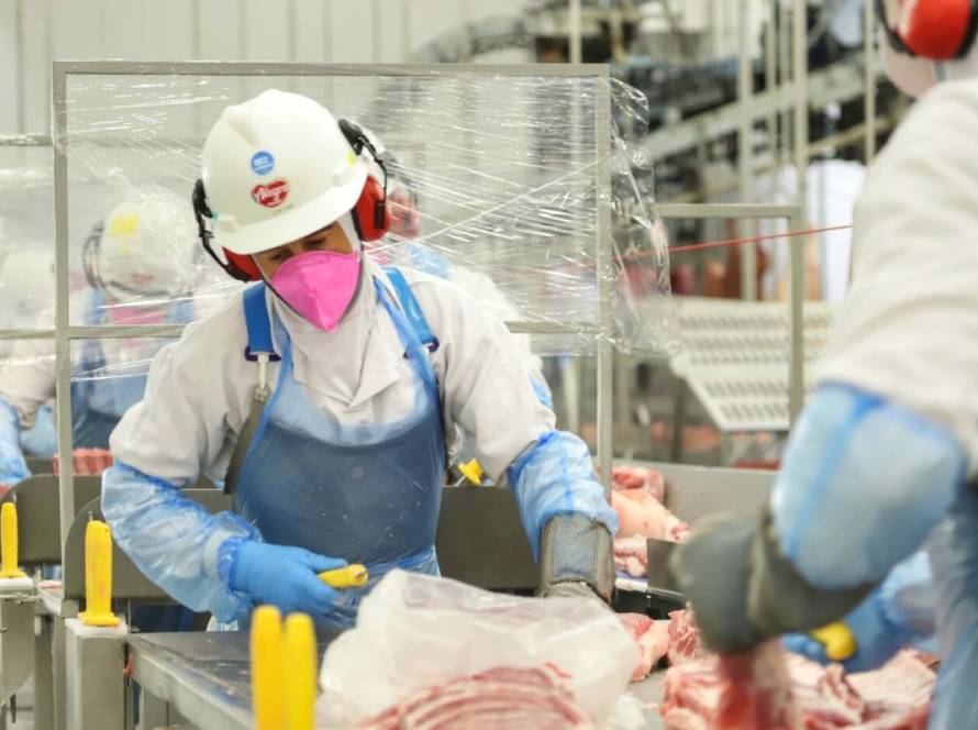 Exportações de carne suína, frangos e automóveis do Paraná saltam mais de 20% em 2025