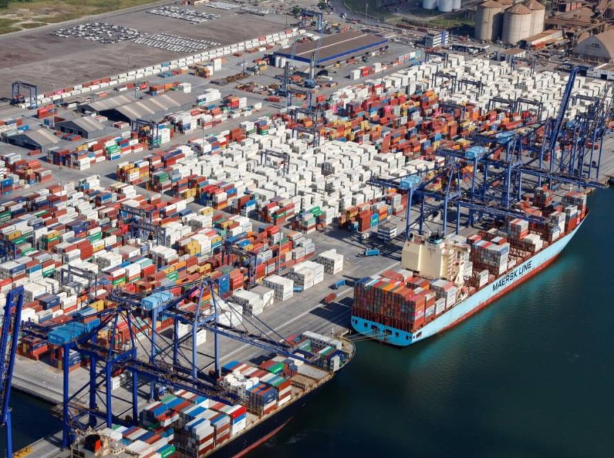 Exportações impulsionam suinocultura brasileira, que supera marcas históricas no 1º trimestre