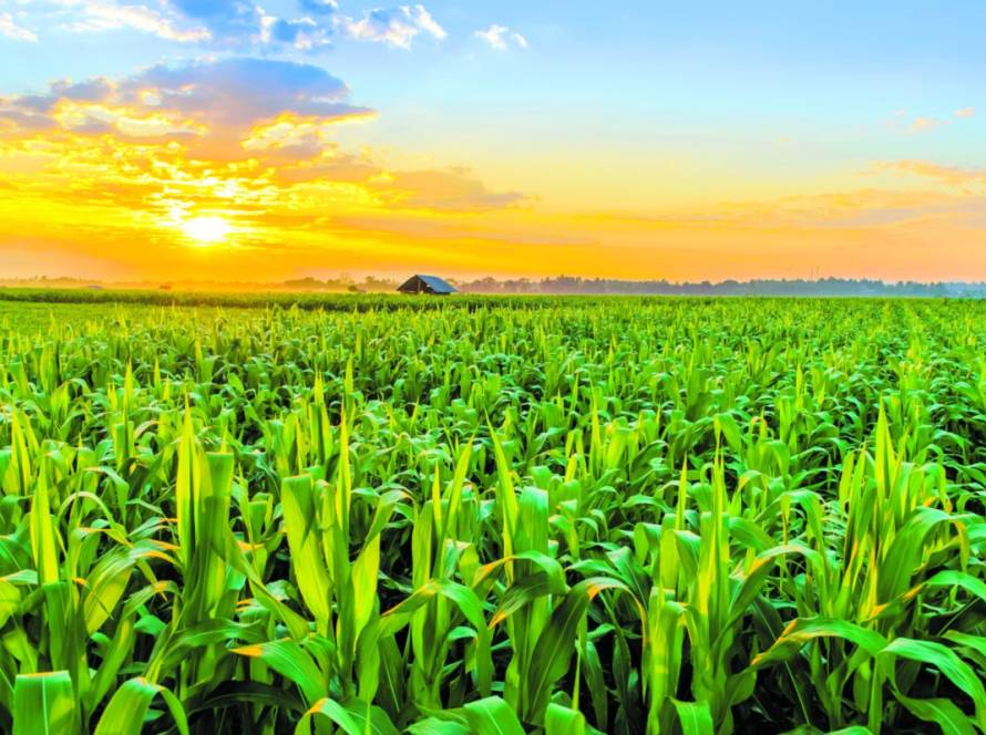 Fim da La Niña muda padrão climático e favorece chuvas no Centro do país