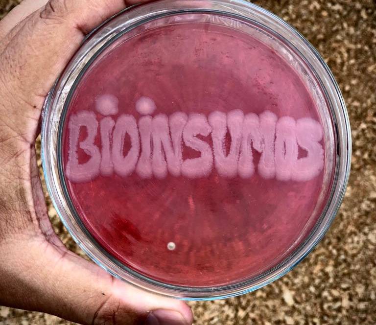 Governo de Goiás abre consulta pública sobre atualização da legislação de bioinsumos