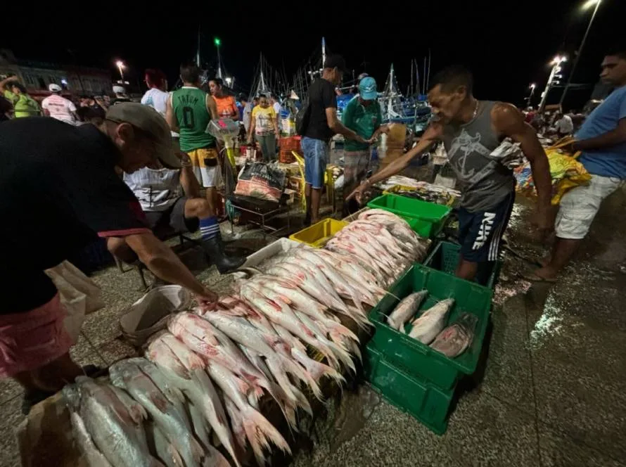 IFC Amazônia coloca Pará como palco global do futuro sustentável da pesca
