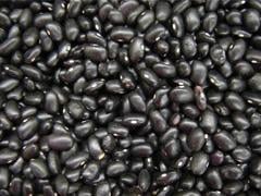 Ibrafe: Exportação de Feijão-preto vai exigir articulação