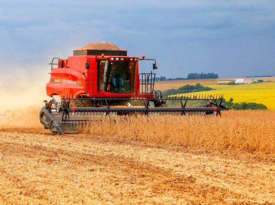 Plano Safra precisa ser ferramenta de apoio, não de abandono