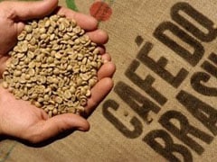 Preço da exportação de café não torrado tem aumento de mais de 80% na primeira semana de abril/25
