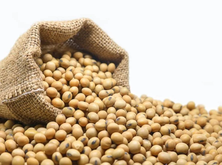 Produção recorde desafia equilíbrio do mercado de soja