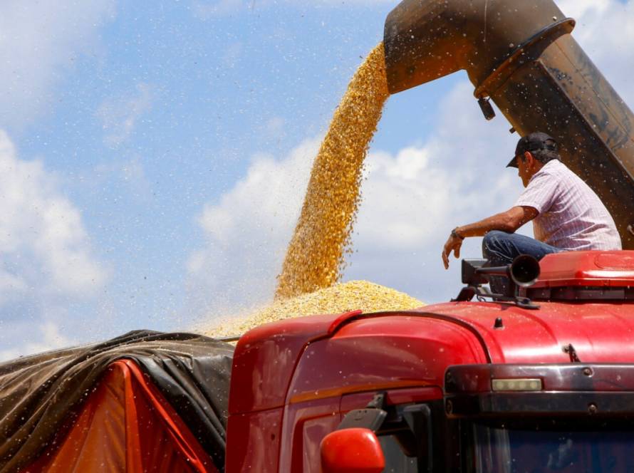 Safras avançam no Paraná em meio a desafios climáticos e expectativas do mercado