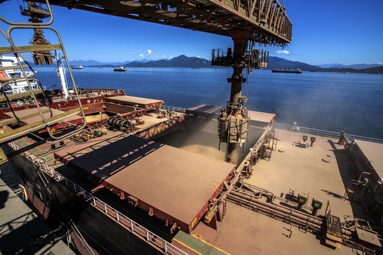 Soja reage em abril com alta nas cotações e recorde de exportações