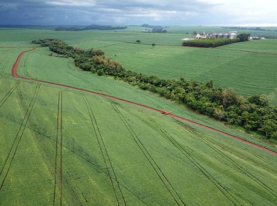 Termina plantio da 2ª safra de milho; previsão de produção é de 15,9 milhões de toneladas