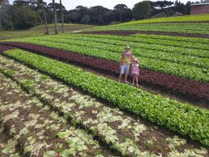 Agricultores familiares terão direito a seguro-desemprego em caso de perda de safra