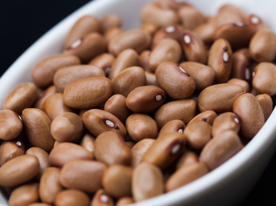 Agrodefesa monitora mosca-branca e viroses do feijoeiro em 12 municípios de Goiás