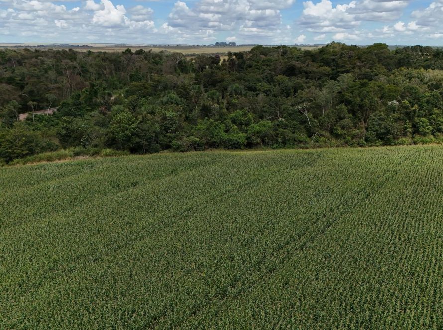 Aprosoja MT participa de reunião da FPA sobre o novo marco do Licenciamento Ambiental