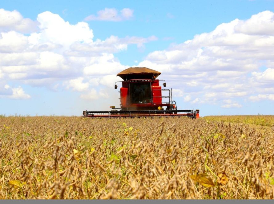 Avanço da colheita pressiona cotações da soja no Brasil e Argentina