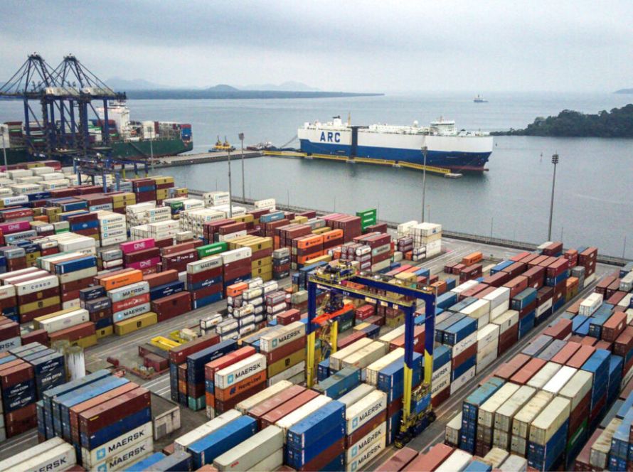 Brasil reforça controle sanitário após caso de Influenza aviária e garante continuidade das exportações