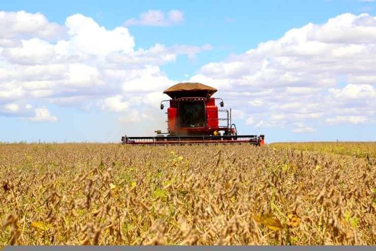 Colheita concluída e oferta elevada derrubam preços de frete em rotas de grãos